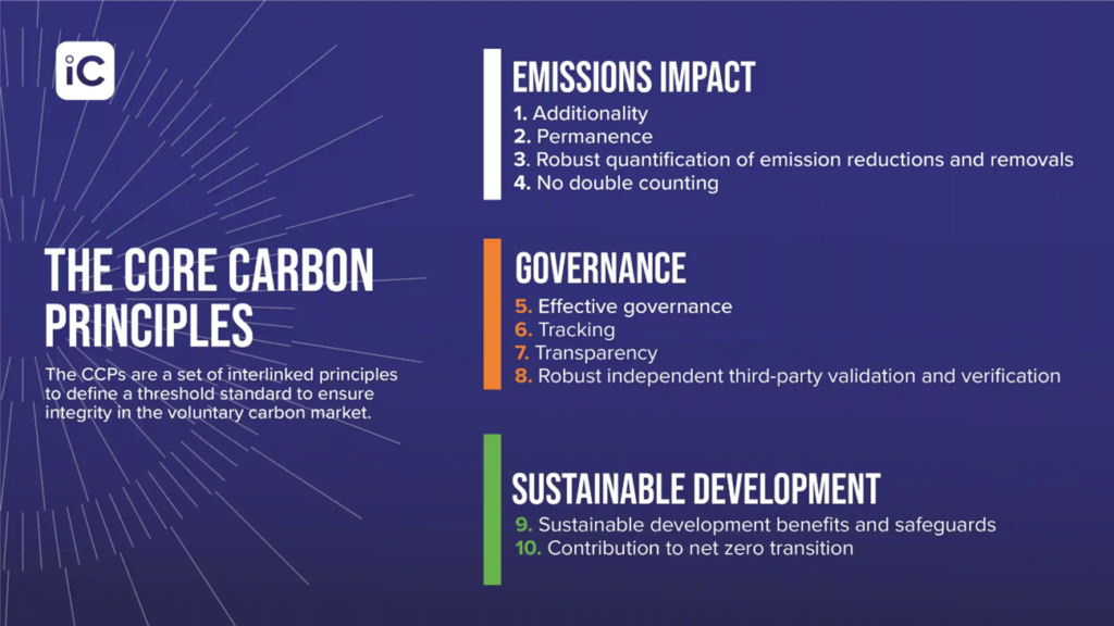 Carbon News - Janeiro/24
