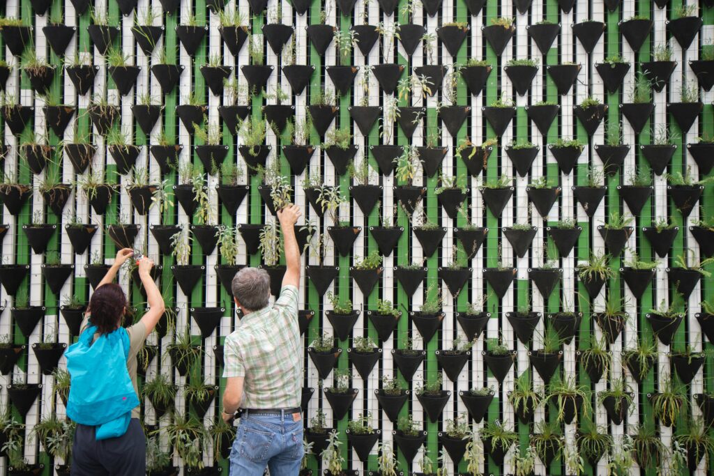 O VALOR JUSTO DOS CRÉDITOS DE CARBONO NO MERCADO VOLUNTÁRIO