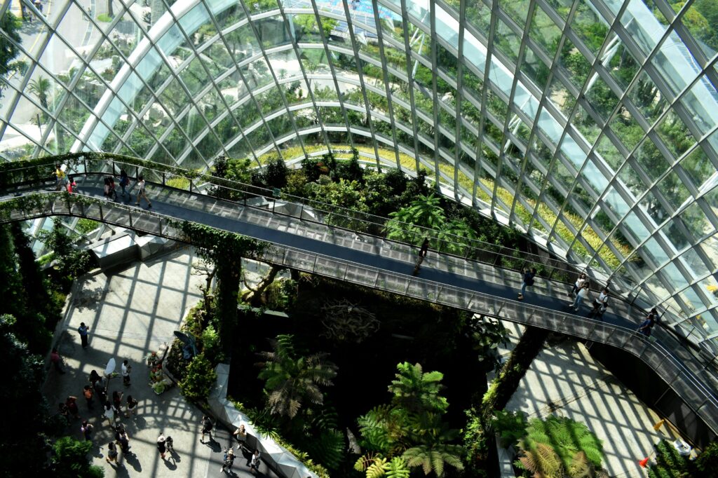 Formulário CDP: transparência ambiental para empresas