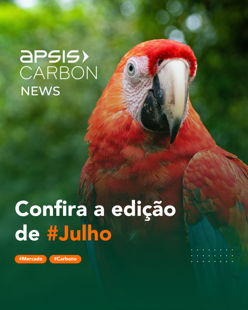 Carbon News - Julho/24