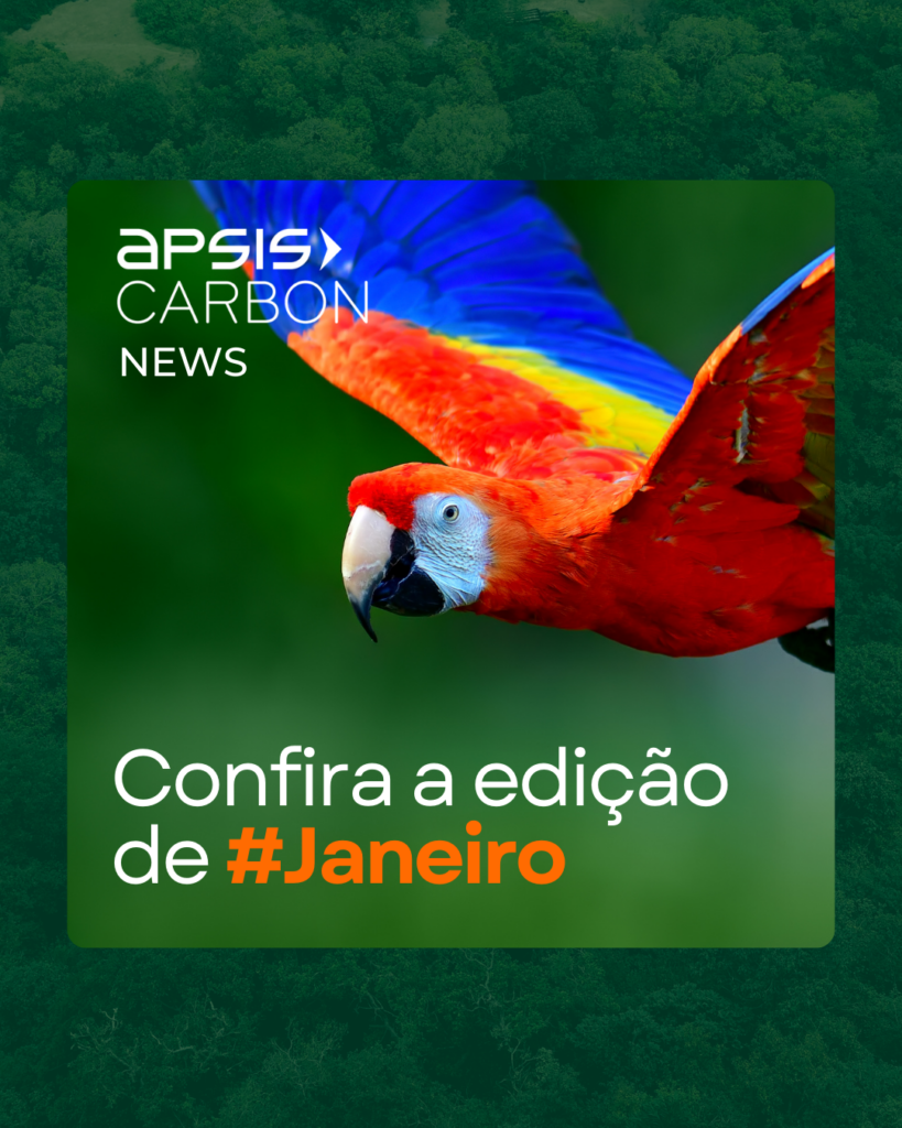 Carbon News - Janeiro/25