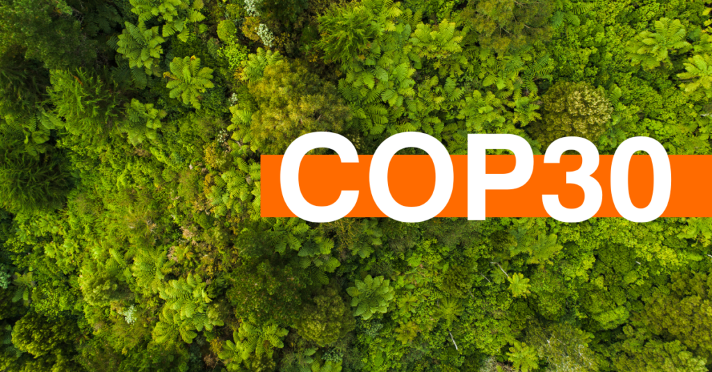 COP30