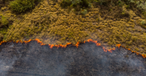 mudanças climáticas