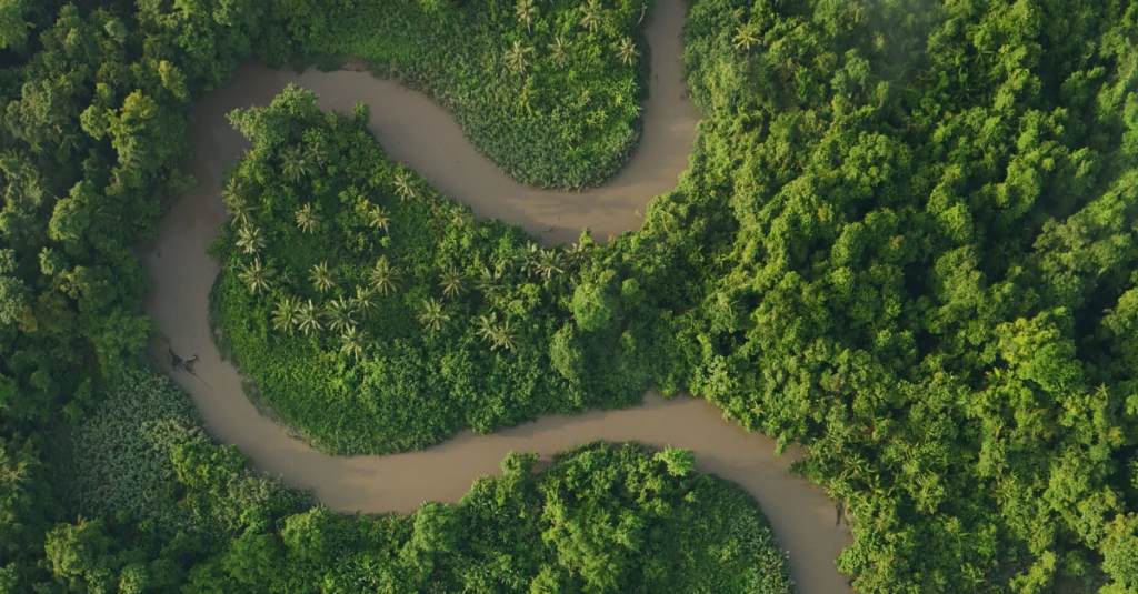 bioeconomia da amazônia